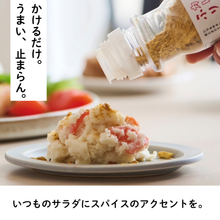 画像をギャラリービューアに読み込む, カレー屋のふりかけ BASIC パウチ KAREFURI(送料無料)