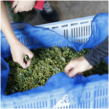 Load image into Gallery viewer, A set of 3 types of curry that is eaten with grape sansho