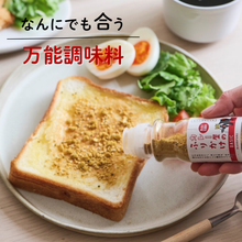 画像をギャラリービューアに読み込む, カレー屋のふりかけ BASIC パウチ KAREFURI（送料無料）
