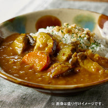 Load image into Gallery viewer, 【お試し】マンドリルの冷凍カレー　おまかせ4袋セット
