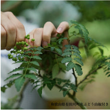 Load image into Gallery viewer, A set of 3 types of curry that is eaten with grape sansho
