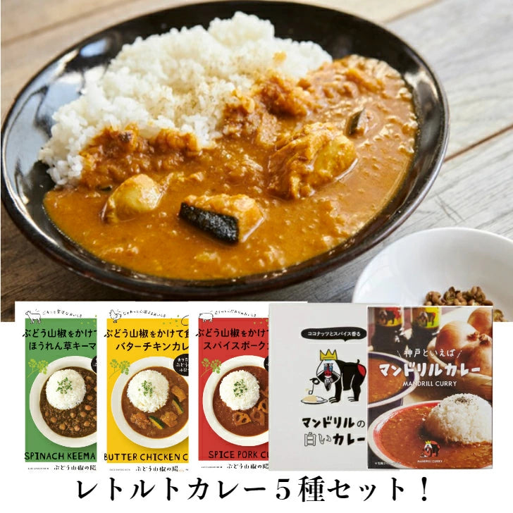 レトルトカレー５種セット